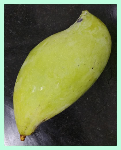 green-mango