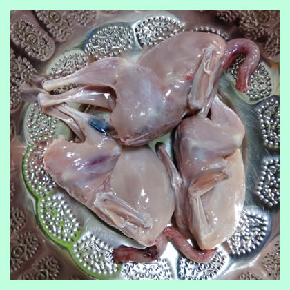Japanese quail (Kaadai) cleaned