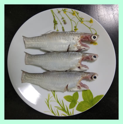 raw-fish-cleaned-kalaan